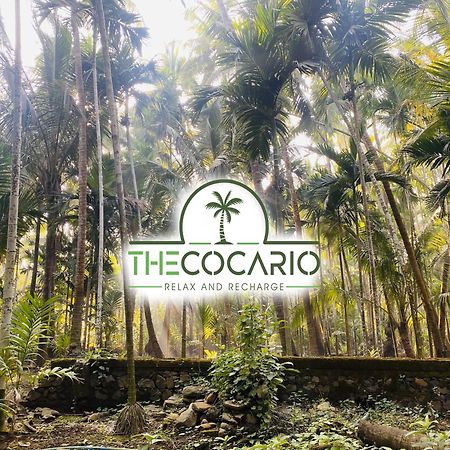 Отель The Cocario Revadanda Экстерьер фото